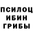 Галлюциногенные грибы мицелий Konstantin 1281