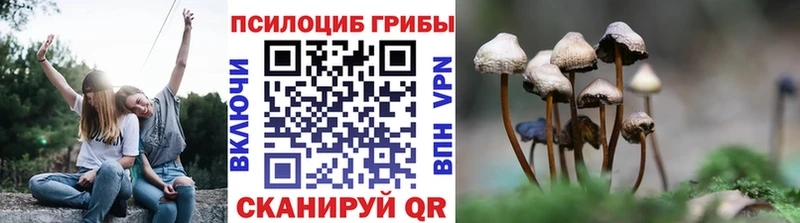 Псилоцибиновые грибы Cubensis  как найти закладки  Советск 